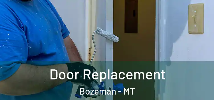  Door Replacement Bozeman - MT