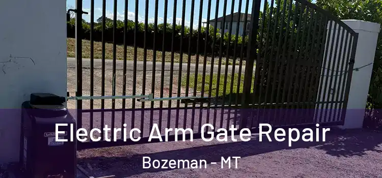 Electric Arm Gate Repair Bozeman - MT