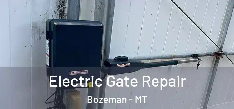 Electric Gate Repair Bozeman - MT