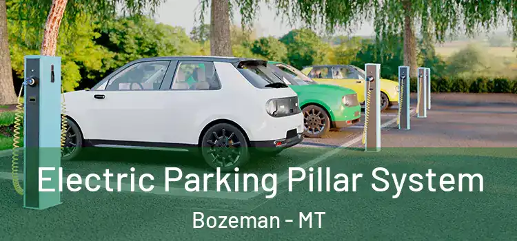 Electric Parking Pillar System Bozeman - MT