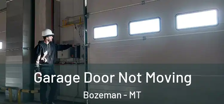  Garage Door Not Moving Bozeman - MT