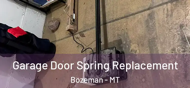  Garage Door Spring Replacement Bozeman - MT