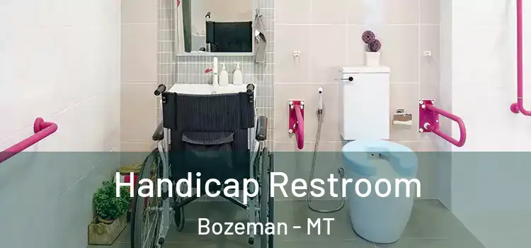 Handicap Restroom Bozeman - MT